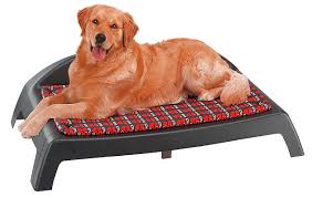 Scegli il cuscino, la cuccia o la brandina da interno che preferisci. Lettini Per Cani Classifica Top5 E Prezzi Dei Migliori Modelli