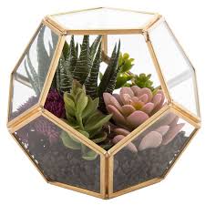 Gold Geometric Succulent Terrarium Hobby Lobby 1573906 In 2021 Succulents Decor Diy Succulent Terrarium Succulent Terrarium
