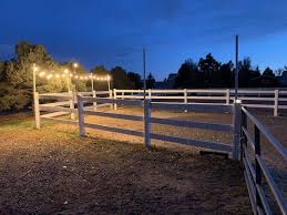 Diy Riding Arena Lights Budget Equestrian Riding Arenas Horse Farms Indoor Arena