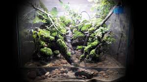 Set Up Stream Riparium Mini Reptile Habitat Aquatic Turtle Habitat Aquascape