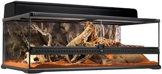 Exo Terra Natural Terrarium Large Low Terrarium Terrarium For Sale Gecko Terrarium