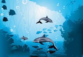 Vastu Wallpapers Vastu Wallpaper For Home Home Wallpaper Wallpaper Fish Wallpaper