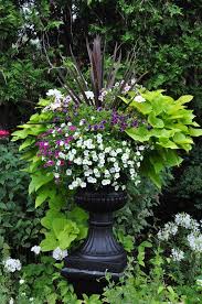 Traditional Garden Urns And Contemporary Containers Garden Containers Container Gardening Flowers Traditional Garden