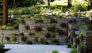 Gabion Retaining Wall Planted With Succulents Modern Garden Design Gabion Wall Garden Wall Retaining Wall