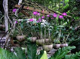 Pin On Garden Love