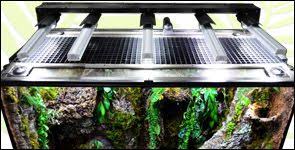 New England Herpetoculture Llc Custom Vivarium Building Design Services Building Design Vivarium Glass Top