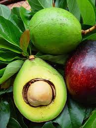 Caribfruits Avocat Fruits Tropicaux Fruits Tropicaux Jardin Fruitier Avocat Farci