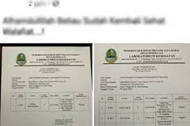 Hasil Tes Swab Pasien Positif Covid 19 Karawang Beredar Di Medsos Idn Times Jabar