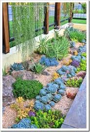 Revisiting Sue S Succulent Garden Succulent Landscape Design Succulent Garden Design Succulent Landscaping