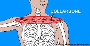 Pin On Health