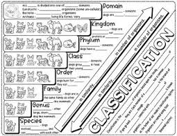 Taxonomic Classification Doodle Notes Science Doodle Notes Doodle Notes Science Science Doodles Science Notes