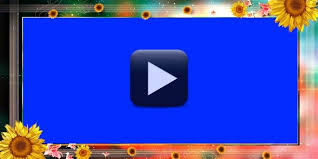 Wedding Background Frame Video Free Download In Hd Wedding Background Wedding Background Images Green Background Video