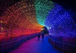 Pin By Abi Fantastic On Global Eclipse Decor 2020 In 2020 Festival Lights Festival Winter Light Festival