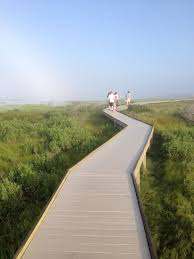 Chincoteague Island Va Chincoteague Island Virginia Travel Virginia Camping