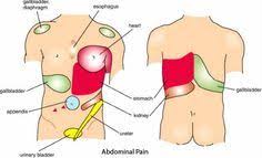 Pin On Ailments