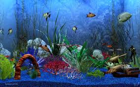 Download Wallpaper Aquarium 3d Bergerak Images Hewan Lucu Kertas Dinding Seni Digital Dinding Gambar