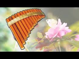 Flute De Pan Best Of Frantz Amathy Fleurs Et Oiseaux Musique Zen Douce Relaxation Youtube Flute De Pan Musique Zen Musique