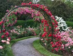 Scenic Reflections Free Screensavers Rose Garden Design Garden Arches Beautiful Gardens