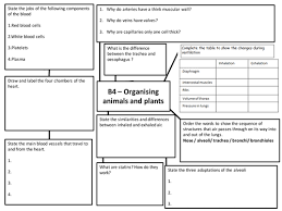 Aqa Gcse Biology B4 B5 And B6 Revision Placemats Biology Revision Gcse Science Revision Gcse Biology Revision