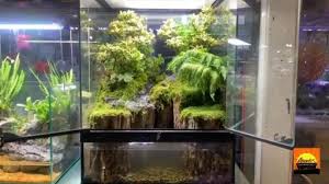 Amazing Forest River Paludarium Tank Aquarium Garden Water Terrarium Diy Fish Tank