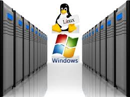 The Capability Of Vps Hosting Server To Run On Either Windows Or Linux Operating System Enables Businesses An Web Hosting Design Web Hosting Quality Web Design