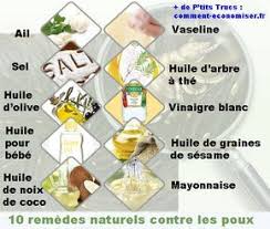 Epingle Sur Poux