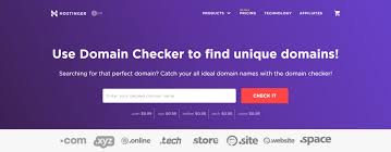 What Is A Tld All Questions Answered Hostinger Tutorials