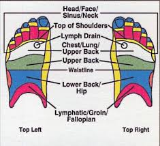 Reflexology Chart Top Of Feet Foot Reflexology Reflexology Foot Chart Reflexology Chart