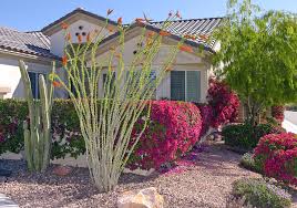 Pin By Chuck Stasieluk On Psp Ideas Desert Landscaping Desert Plants Landscaping Front Yard Landscaping