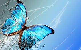 Blue Butterfly Background Design 1440x900 Wallpaper Teahub Io Tons of awesome full hd background wallpapers to download for free. teahub io