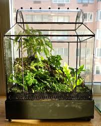 Diy Moss Terrarium Kit Terrariums Kits Diy Moss Terrarium Terrarium Diy