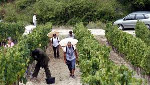 Jobs D Ete Travail Saisonnier Les Bonnes Pistes Ladepeche Fr