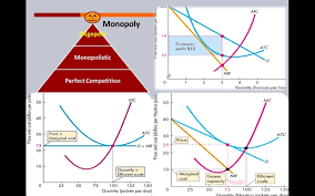 Ap Micro Review Compare Market Structures Pc Monopolistic Monopoly Monopoly Perfect Competition Marketing
