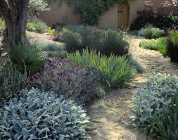 Using Plants For Texture In Garden Design Landscaping Inspiration Backyard Garden Design Contemporary Garden