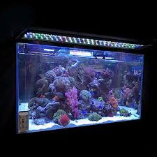 Look 0 5w 243648 Multi Color Led Aquarium Light Full Spec Plant Fish Tank Lamp 48 156 Leds Multi C Fish Tank Lights Aquarium Lighting Led Aquarium Lighting