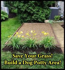 How To Build A Dog Potty Area At My Next House I Will Have One Of These No Lawn Bombs Backyard Dog Potty Area Dog Area