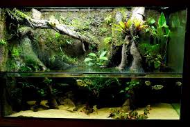 My 300g Diy Paludarium Carolina Fish Talk Aquarium Landscape Biotope Aquarium Vivarium