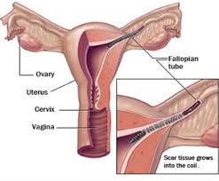 Pin On Women S Education