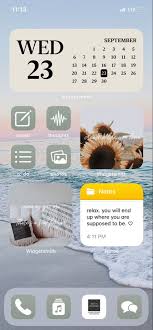 Ios 14 Home Screen Ideas Ios App Iphone Iphone Home Screen Layout Homescreen Iphone