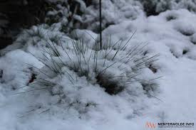 De sneeuw blijft overal liggen, meldt weeronline. Bp W63ctguygom