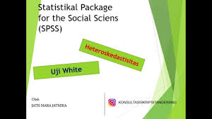 Spss Mengatasi Masalah Uji Heteroskedastisitas Uji White Youtube