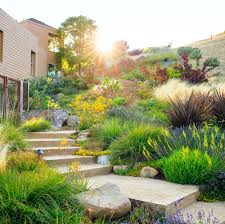 Water Wise Garden Design Guide Low Water Landscaping Waterwise Garden Landscape Design