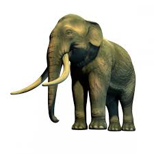 Asian Elephant 3d Model Max C4d Obj 3ds Fbx Lwo Stl 3dexport Com By Skazok Elephant Asian Elephant Animals