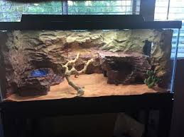 40 Gallon Desert Tank For Bearded Dragon Bearded Dragon Habitat Bearded Dragon Diy Bearded Dragon