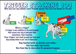 Dog Training Biting And Bite Thresholds Green Acres Kennel Shop Blog
