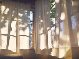 Natural Light Photography Presence Sunlight Soft Light Light Ambiance Window Light Mood Through The Window Soft Lighting Morning Light