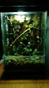 Pin By Emiliano Luna On Frog Terrariums Frog Terrarium Dart Frog Moss Garden
