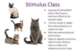Stimulus Class Bcba Aba Therapy Bcaba Exam