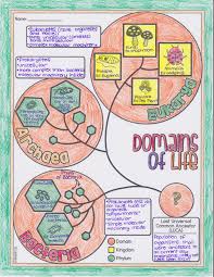 Classification Of Life Doodle Diagrams Study Biology Biology Lessons Doodle Notes