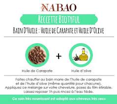 Bain D Huile Huile De Carapate Et Huile D Olive Produit Cheveux Soin Cheveux Naturel Cheveux Naturels